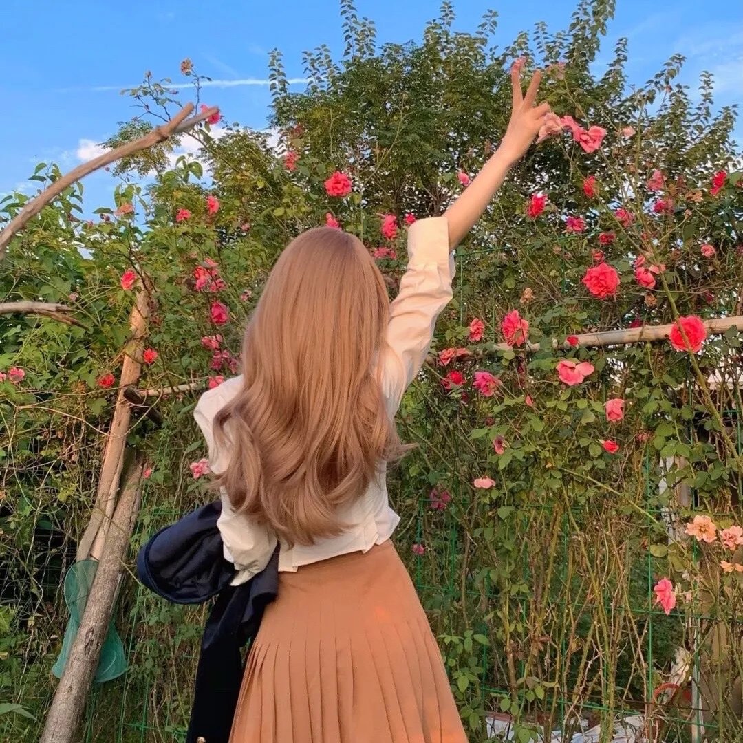 蜜月花车